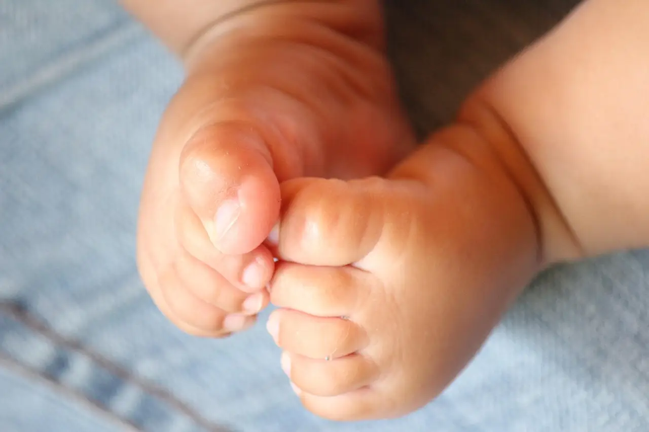 Bonus bebè 2026, dalla Regione mille euro per i nuovi nati, Schifani, sosteniamo le famiglie in difficoltà economiche