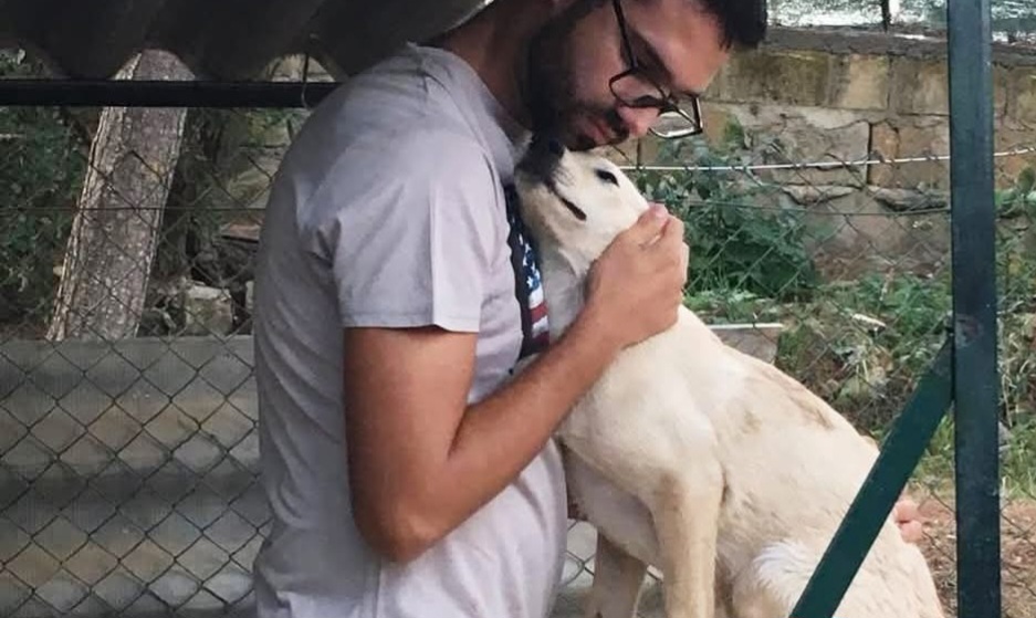 Caltanissetta, emergenza randagismo: il consigliere Turturici scrive all&rsquo;assessore Genovese