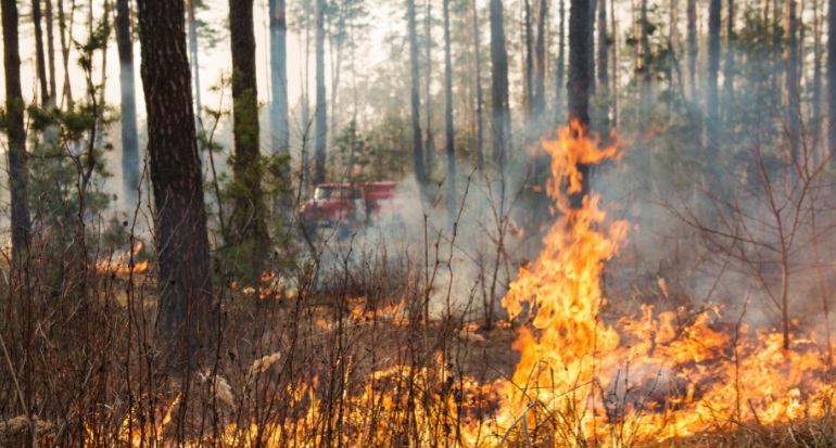 Caltanissetta, ordinanza anti-incendi: obblighi per terreni e aree verdi entro il 15 maggio