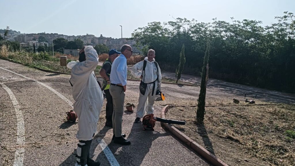 Parco Rosario Assunto, completati gli interventi di scerbatura